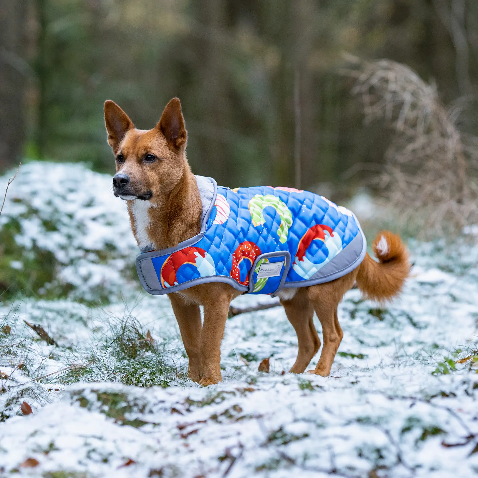 Hundemantel FINO - mit kuscheligem Innenfleece & Kunstfellkragen