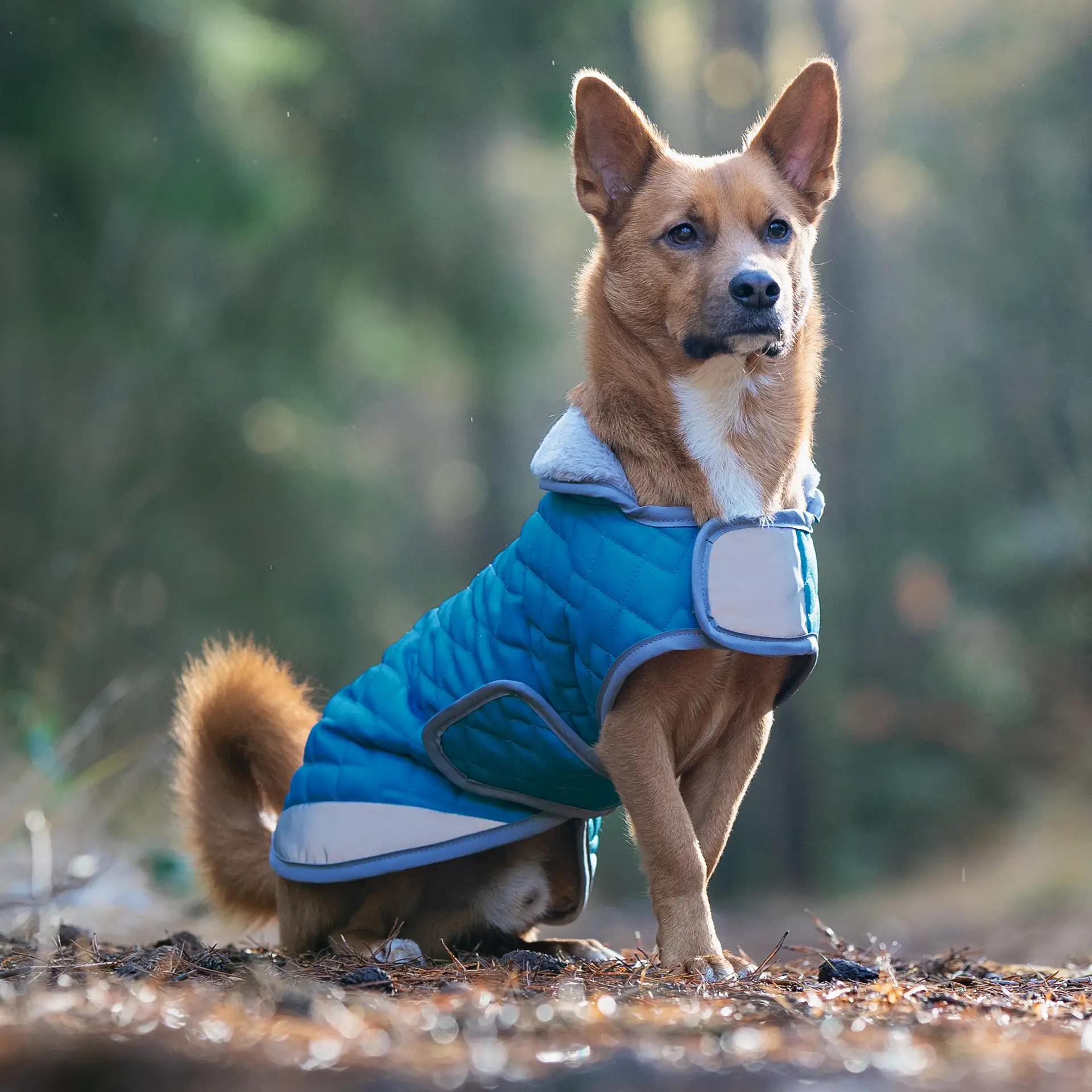 Hundemantel FINO - mit kuscheligem Innenfleece & Kunstfellkragen