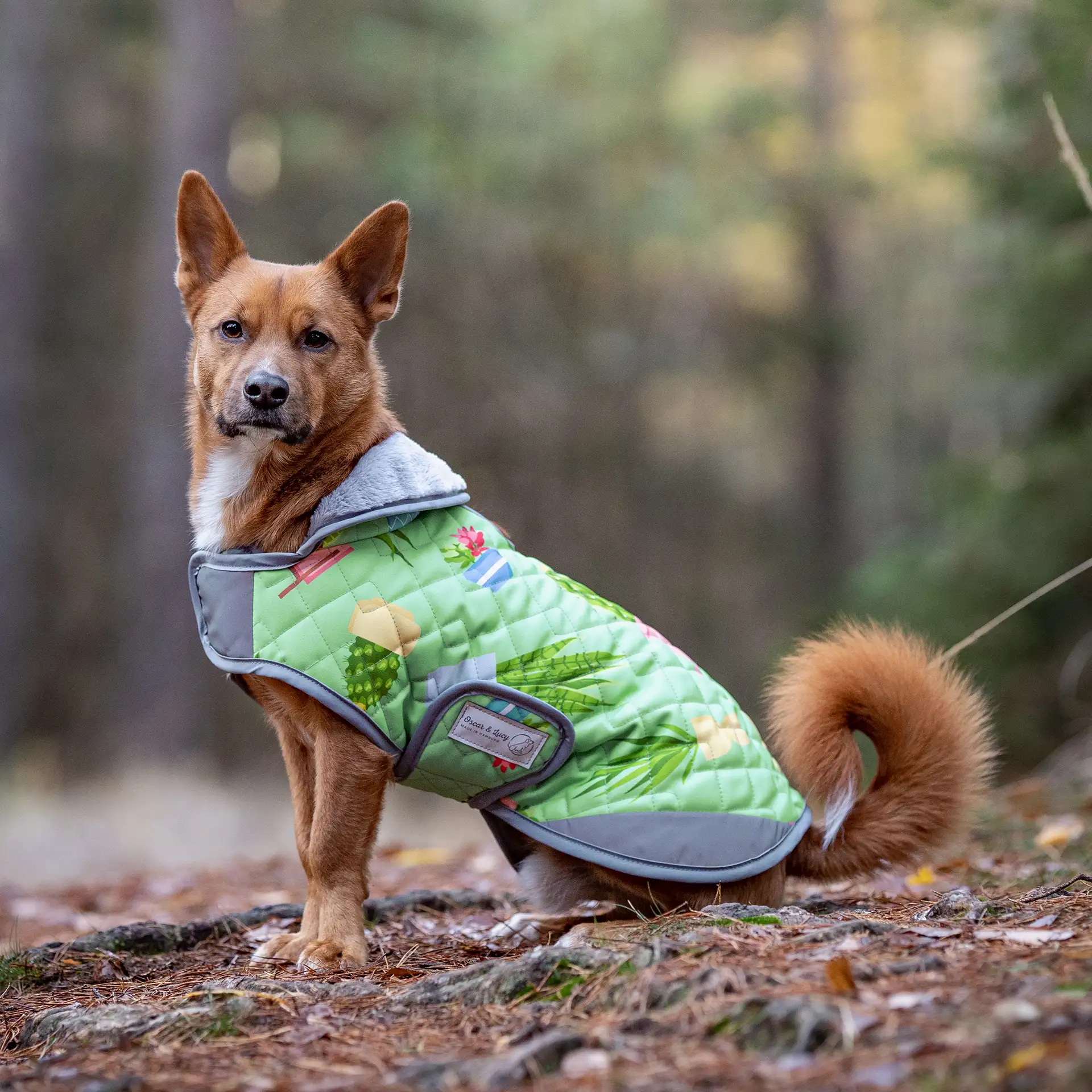 Hundemantel FINO - mit kuscheligem Innenfleece & Kunstfellkragen