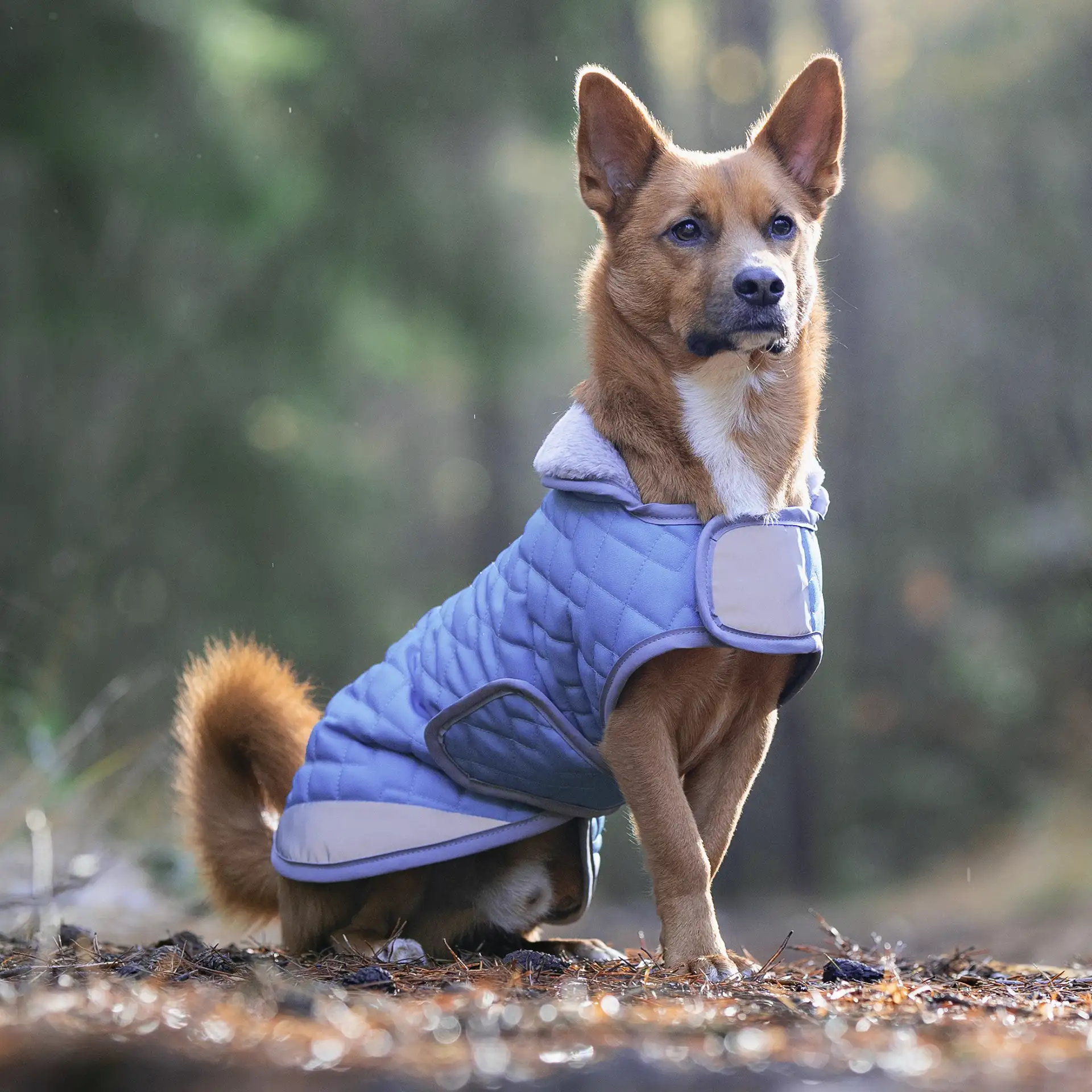 Hundemantel FINO - mit kuscheligem Innenfleece & Kunstfellkragen