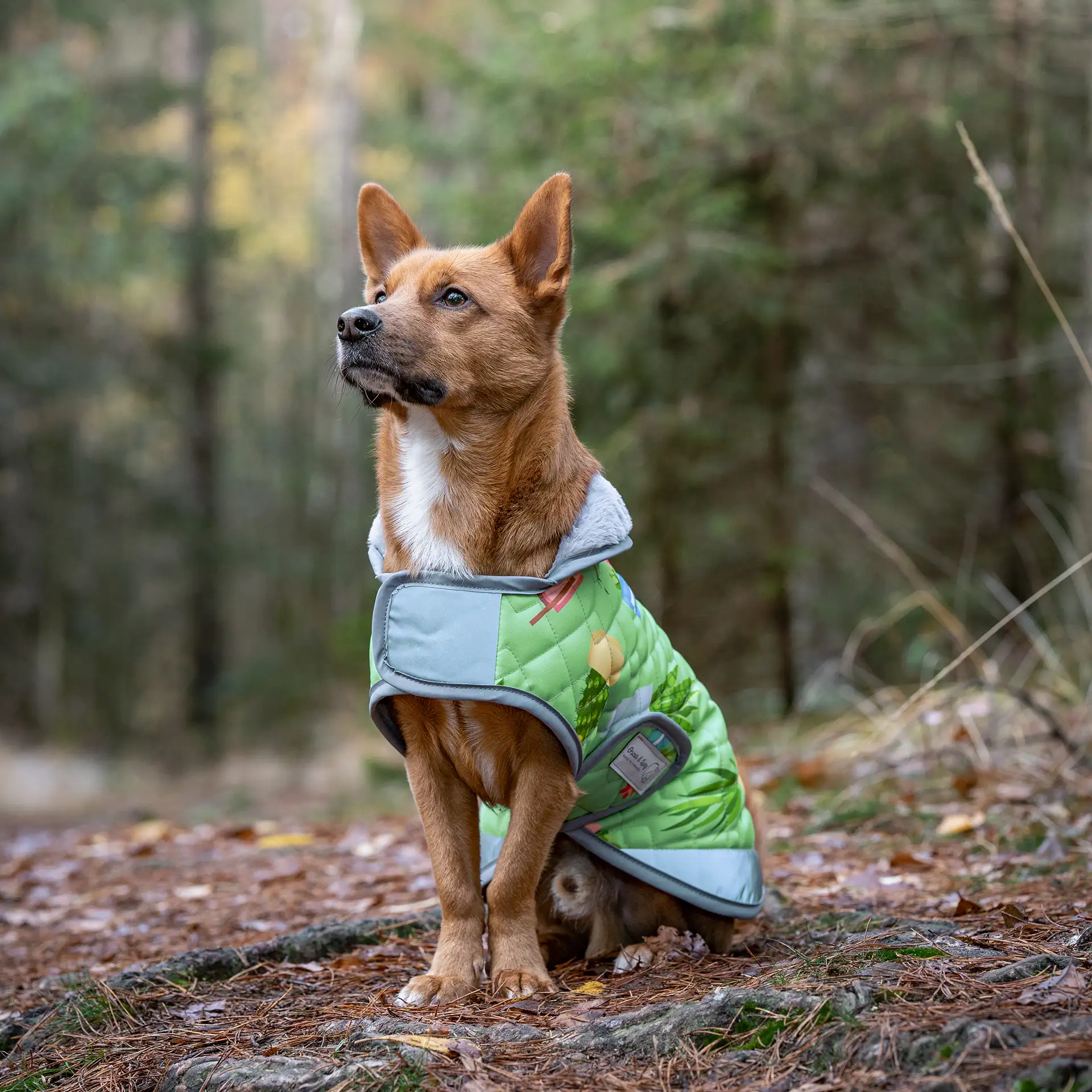 Hundemantel FINO - mit kuscheligem Innenfleece & Kunstfellkragen