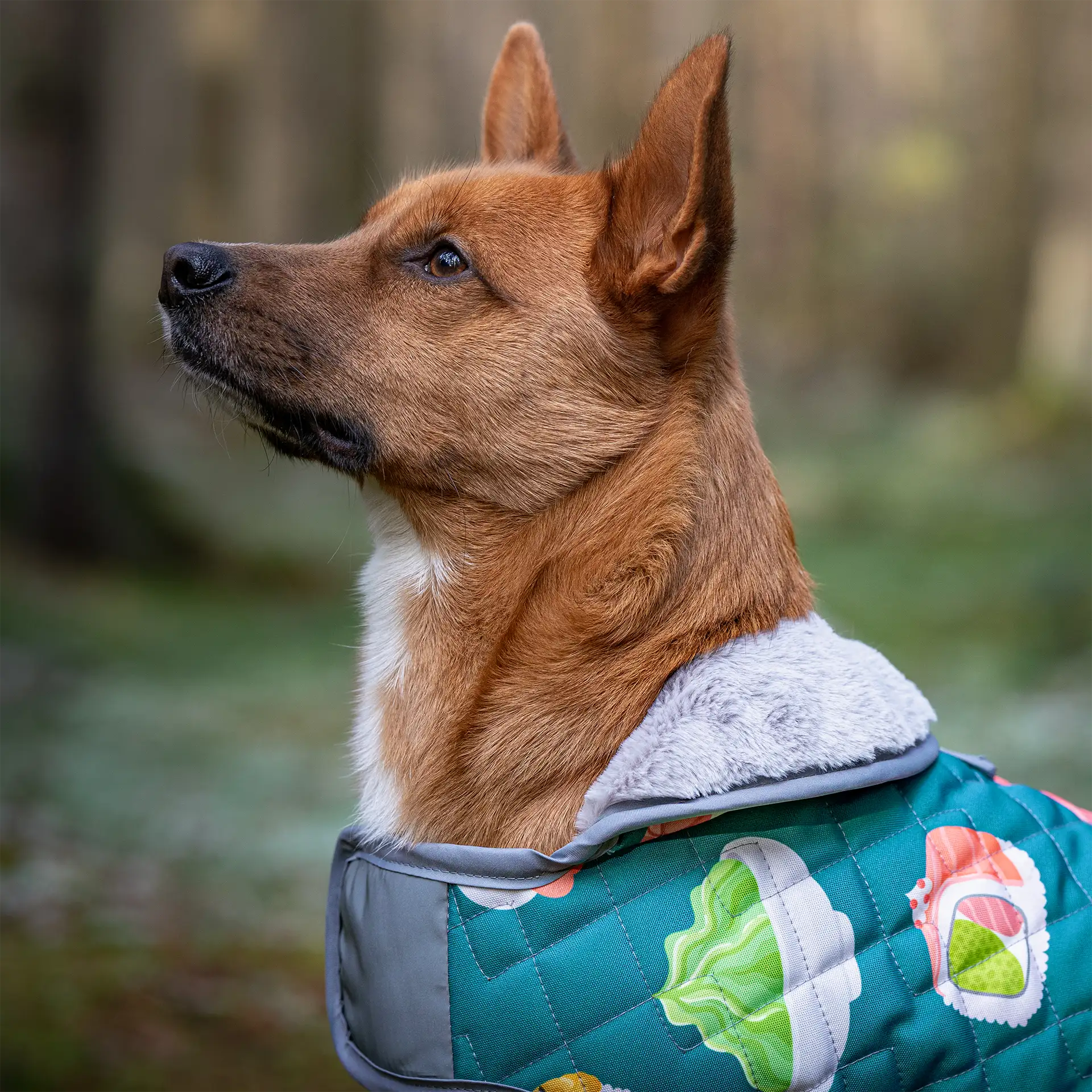 Hundemantel FINO - mit kuscheligem Innenfleece & Kunstfellkragen