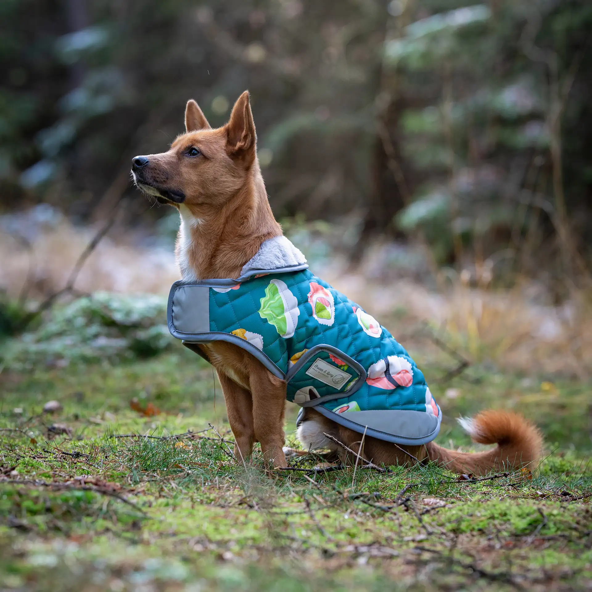 Hundemantel FINO - mit kuscheligem Innenfleece & Kunstfellkragen