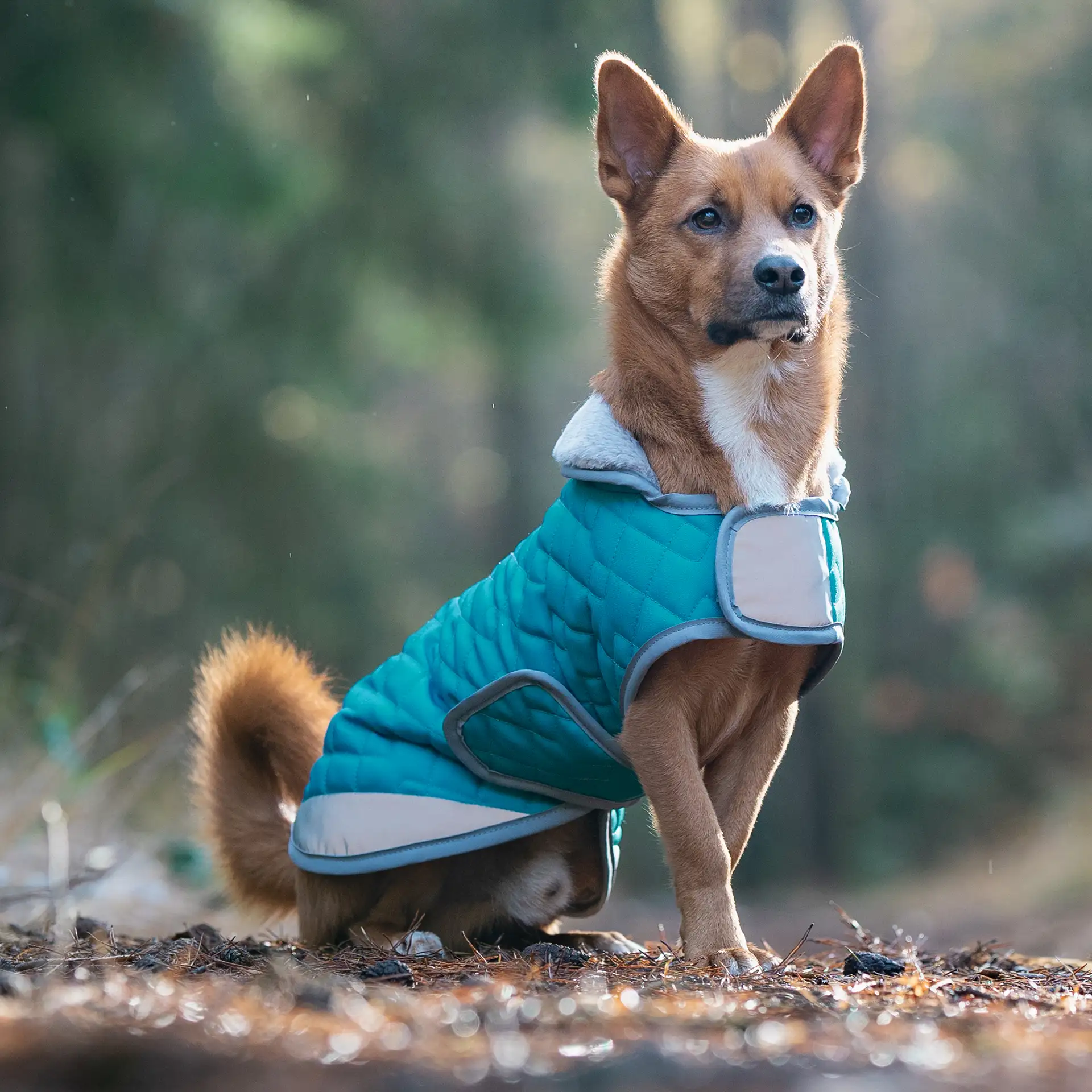 Hundemantel FINO - mit kuscheligem Innenfleece & Kunstfellkragen